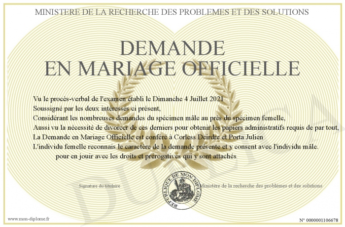 Demande-en-Mariage-Officielle